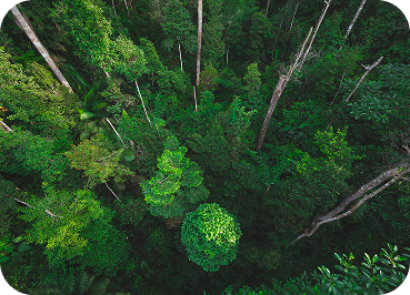 sustainability